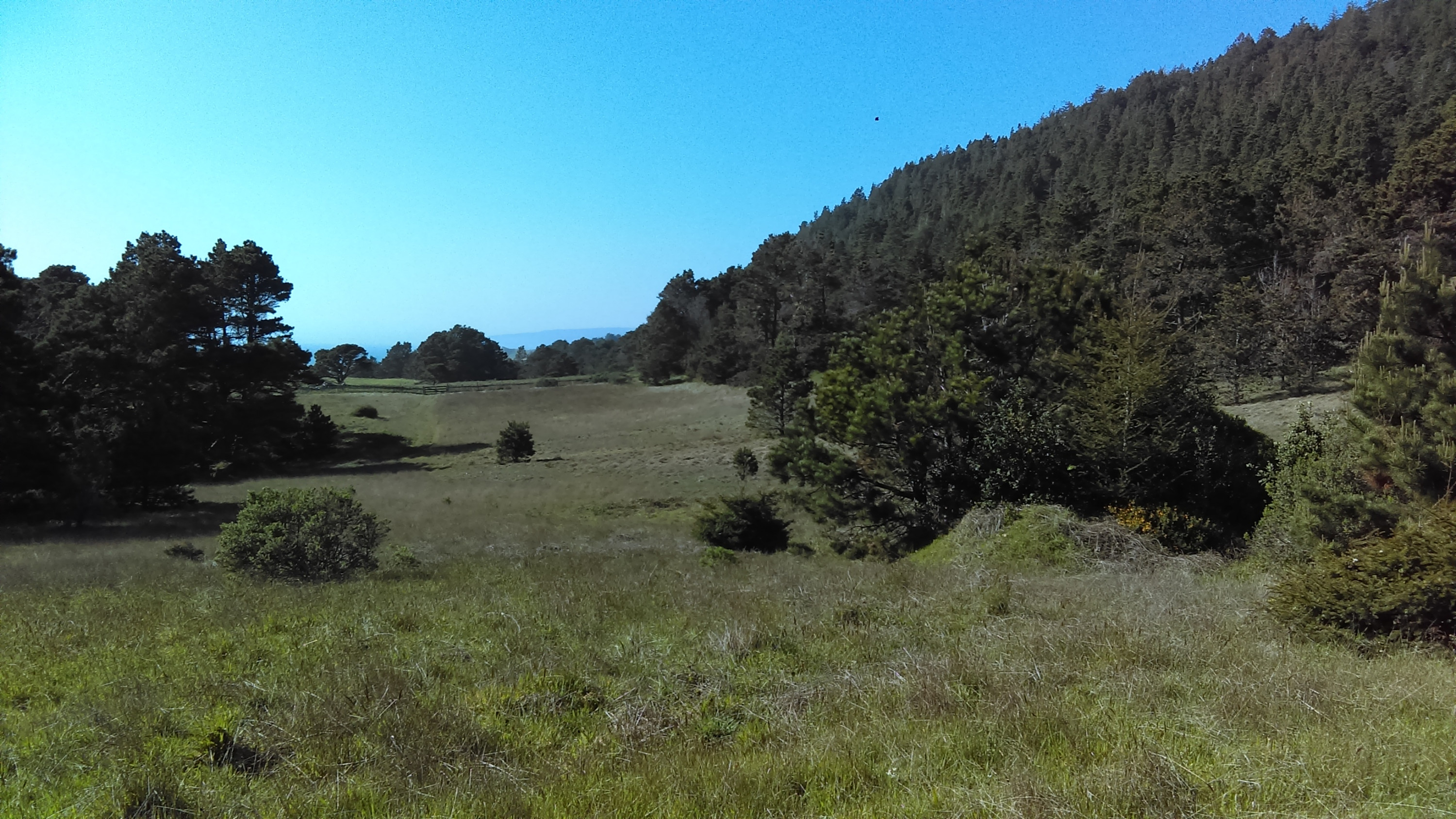 The Kashia have helped restore the landscape to natural grasslands. (Kashia Department of Environmental Planning)